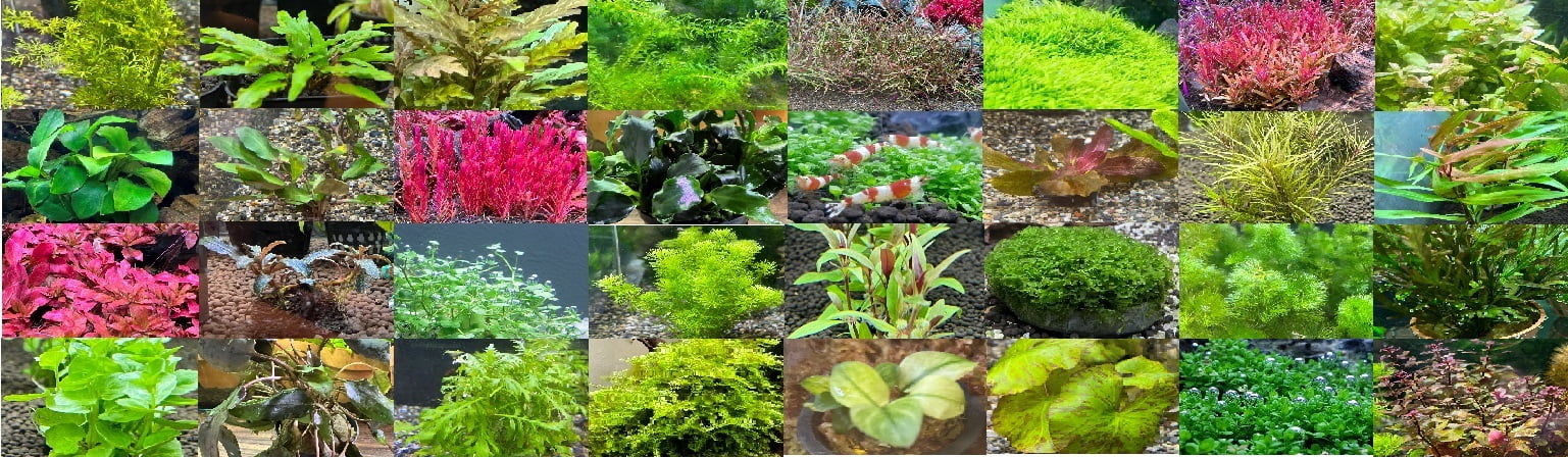 ヘッダーサンプル